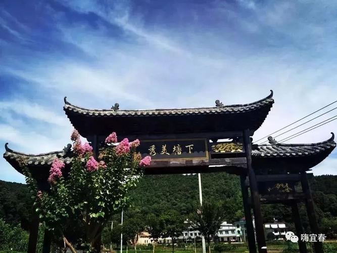 宜春這個小村莊因水中荷花,山中奇石和禾雀花名聲鵲起